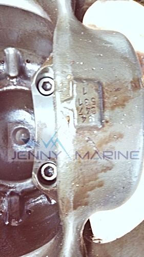 Bergen BRM6 Recon Piston Complete - Image 3