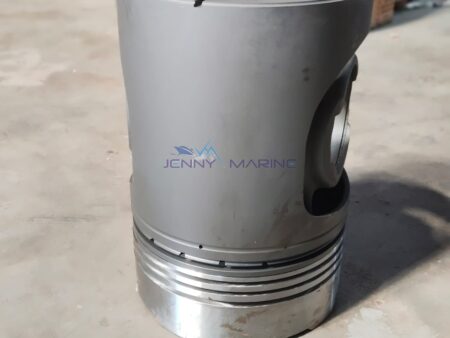 BERGEN - BRM-6 / BRM-8 / BRM-9 BRG PISTON NEW