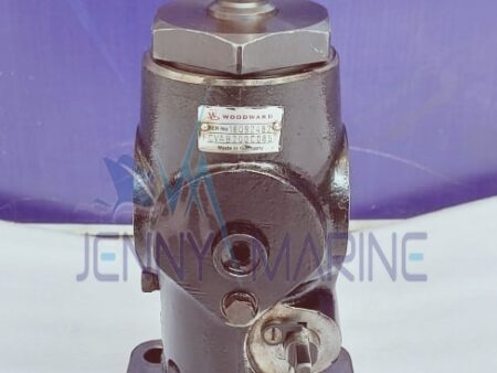 RR - BERGEN AS FUEL PUMPS 20MM PLUNGER DIA